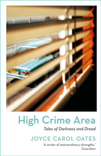 High Crime Area book cover with a vintage car seen through blinds.