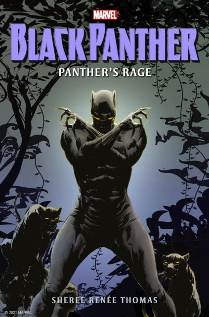 Black Panther: Panther's Rage comic book cover featuring the Black Panther.