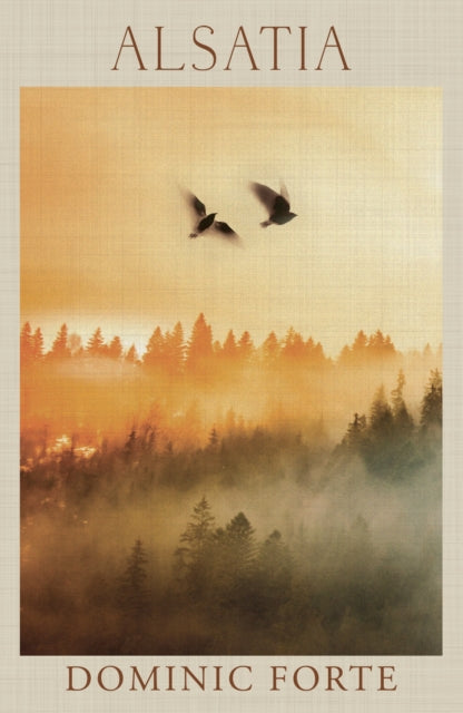 Alsatia book cover with birds flying over a misty forest.