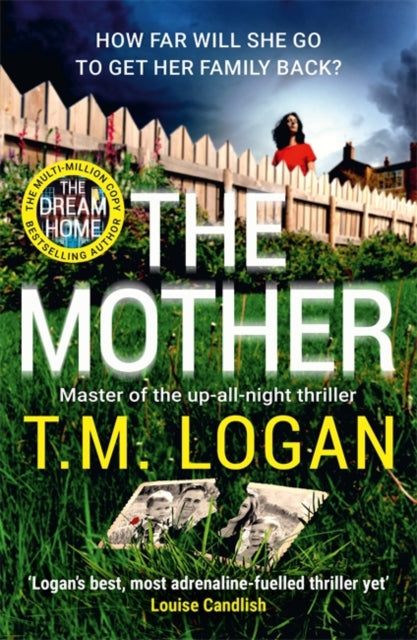 The Mother by T.M. Logan is a gripping thriller about a mother seeking the truth.