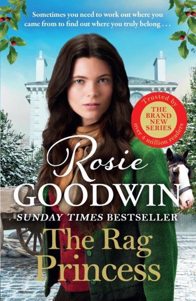 The Rag Princess : The first book in the brand-new Rags to Riches trilogy from Britain's best-loved saga author