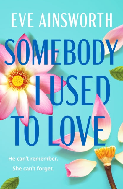 Book cover for "Somebody I Used to Love" by Eve Ainsworth.