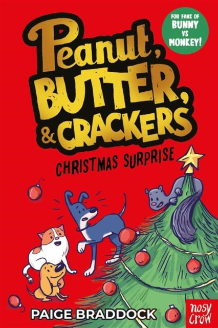 Christmas Surprise: A Peanut, Butter & Crackers story book cover.