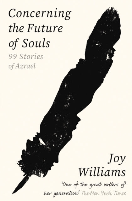 Book cover for "Concerning the Future of Souls" by Joy Williams.