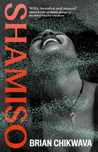 Shamiso book cover with a black and white image of a person's face and neck.