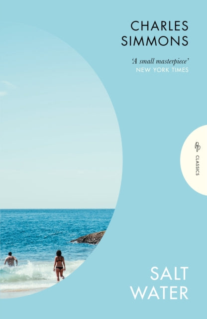 Book cover for Salt Water by Charles Simmons, featuring a beach scene.