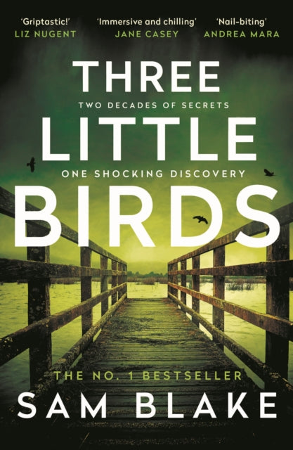 Book cover for Three Little Birds by Sam Blake, featuring a wooden boardwalk over water.