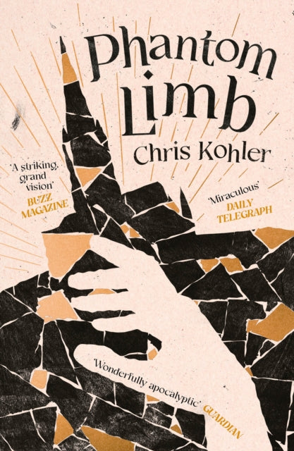 Phantom Limb book cover with abstract art and text.