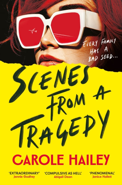 Book cover for Scenes from a Tragedy by Carole Hailey.