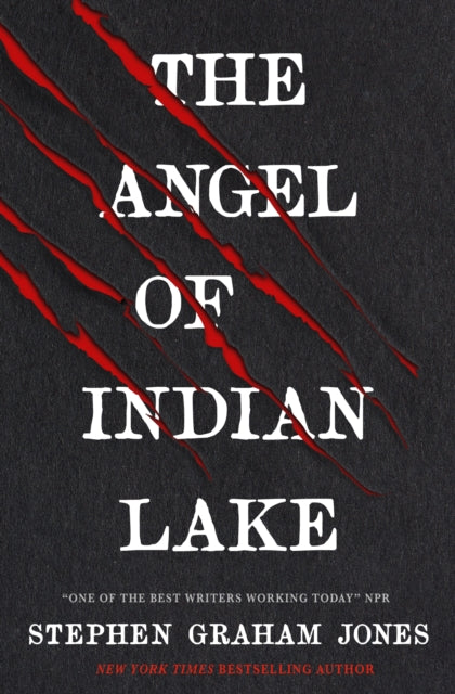 The Angel of Indian Lake book cover with red claw marks.
