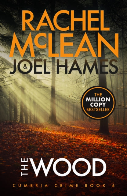 The Wood book cover featuring a forest scene with sunbeams and fallen leaves.