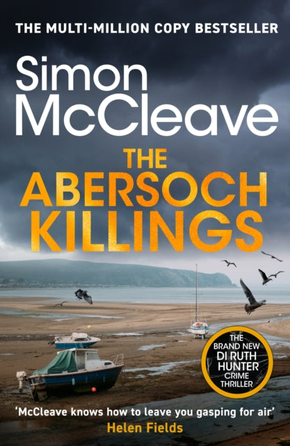 The Abersoch Killings book cover featuring a beach scene with boats and birds.