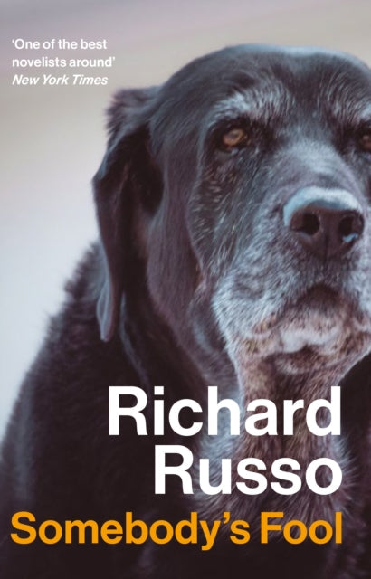 Book cover for Somebody's Fool by Richard Russo featuring a close-up of an aging black dog.
