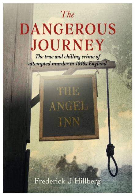 Book cover for The Dangerous Journey by Frederick J Hillberg.