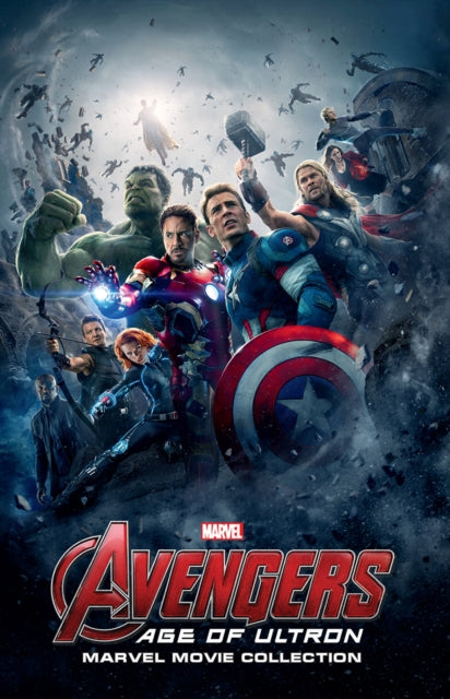 Avengers Age of Ultron movie poster with the main characters.