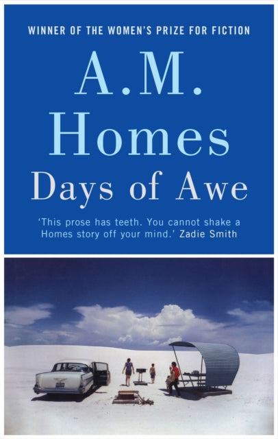 Book cover for Days of Awe by A.M. Homes.