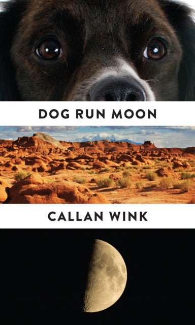 A collage of a dog's face, a desert landscape, and a moon with text.