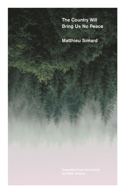 The Country Will Bring Us No Peace book cover with forest and mist.