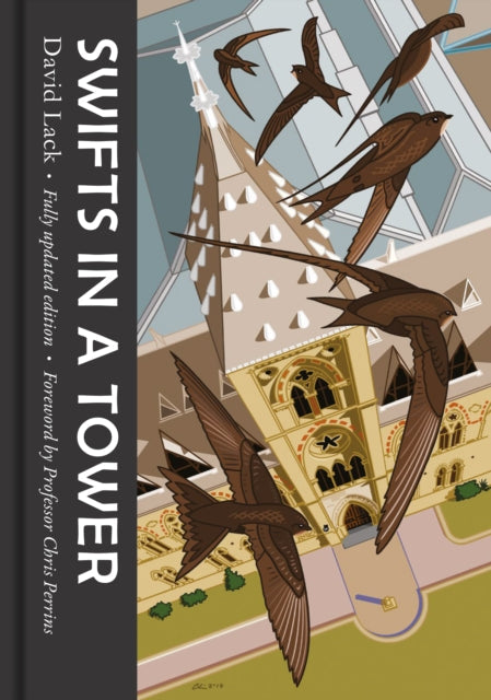 Swifts in a Tower book cover with illustrations of swifts flying around a building.