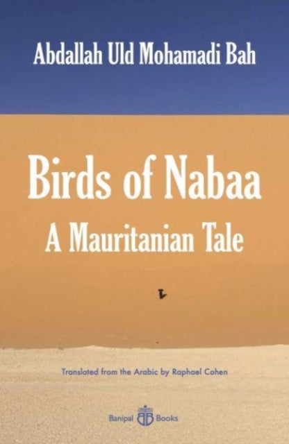 Birds of Nabaa: A Mauritanian Tale book cover.