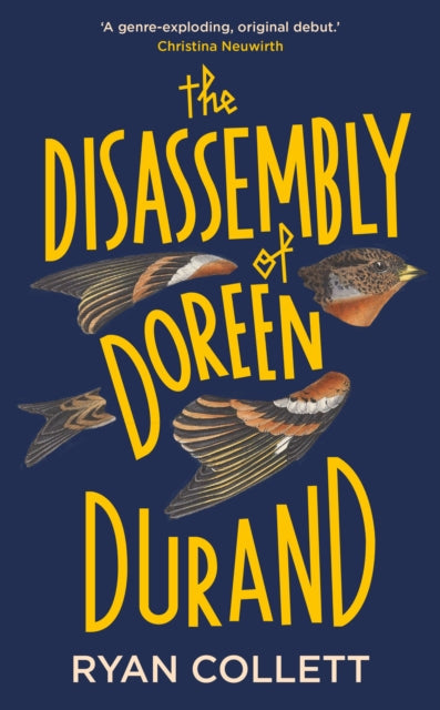 The Disassembly of Doreen Durand book cover with yellow text and bird illustrations.