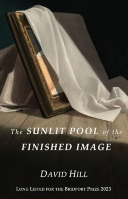 The Sunlit Pool of the Finished Image book cover.