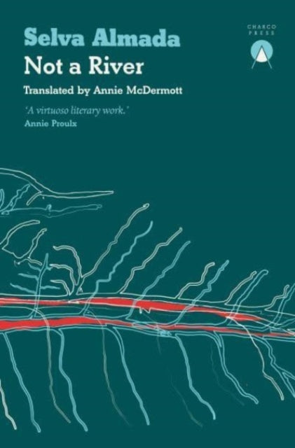 Selva Almada's "Not a River" book cover with abstract river design.