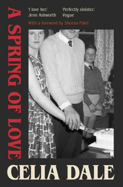 A Spring of Love book cover with a couple cutting a cake.