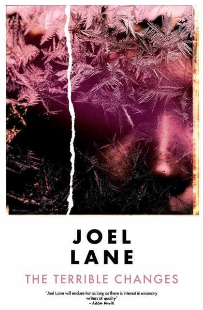 Book cover for The Terrible Changes by Joel Lane.