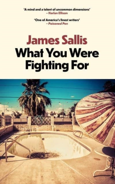 Book cover for "What You Were Fighting For" by James Sallis.