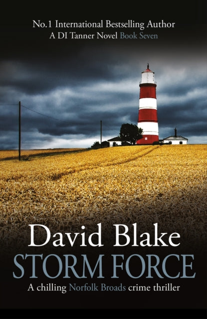 Storm Force by David Blake, a crime thriller book cover featuring a lighthouse.