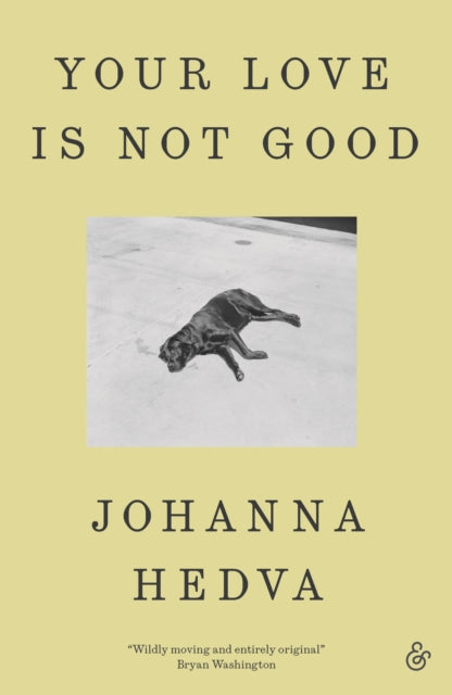 Your Love Is Not Good paperback book cover with a dog lying on the ground.