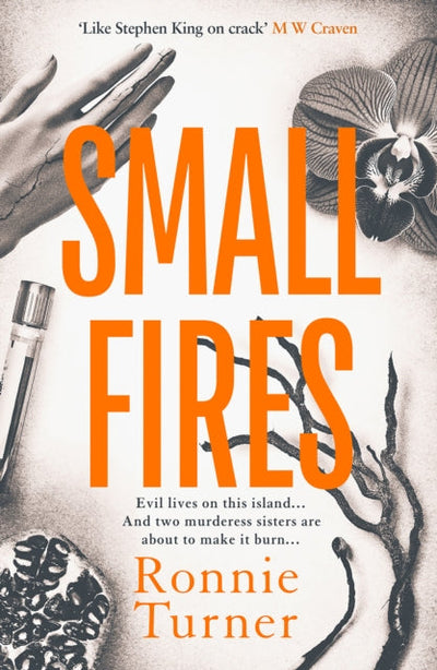Small Fires : This year's most unsettling, hypnotic contemporary gothic thriller