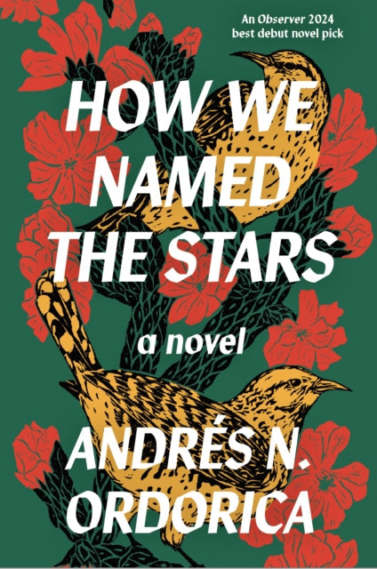 Book cover for "How We Named the Stars" by Andrés N. Ordorica.