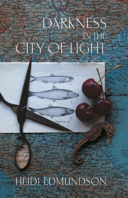 Book cover for "Darkness in the City of Light" by Heidi Edmundson.