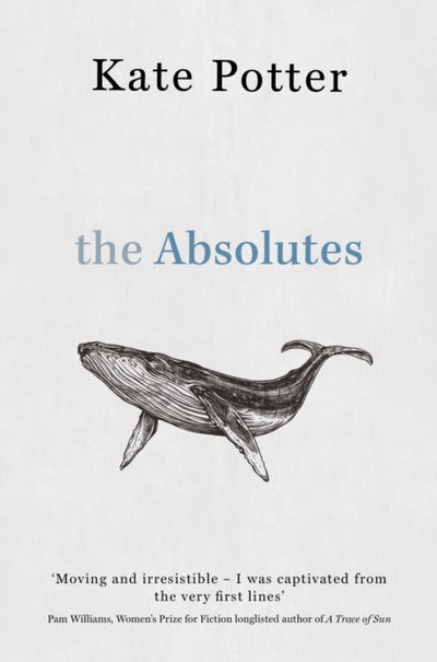 The Absolutes : a profound exploration of grief told through fragments of memory