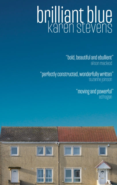 Brilliant Blue book cover with text and a row of houses.