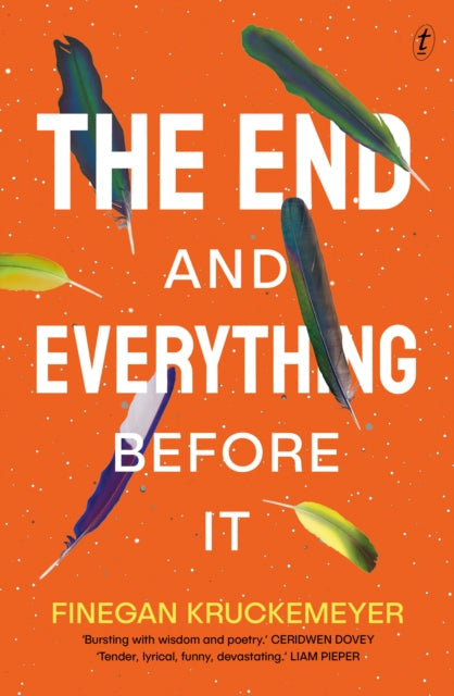The End and Everything Before It book cover with feathers.