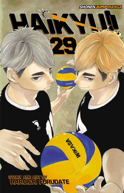 Haikyu!! Vol. 29 manga cover featuring two male characters holding volleyballs.