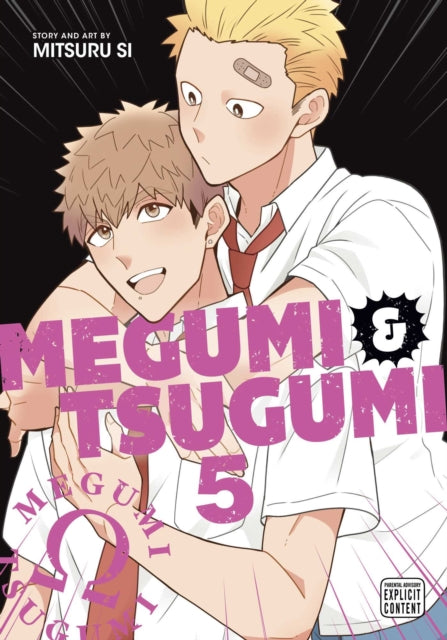 Megumi & Tsugumi, Vol. 5 manga cover featuring two young men.
