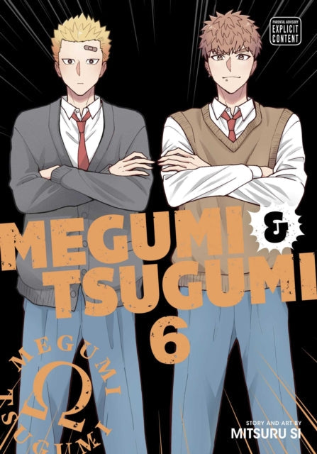 Megumi & Tsugumi, Vol. 6 manga cover featuring two male characters.