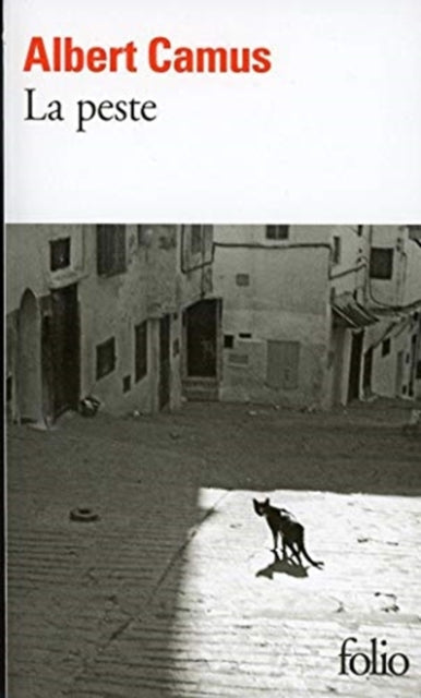 La peste by Albert Camus, Folio edition.
