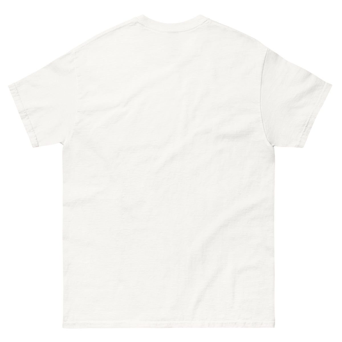 A plain white short-sleeved t-shirt.