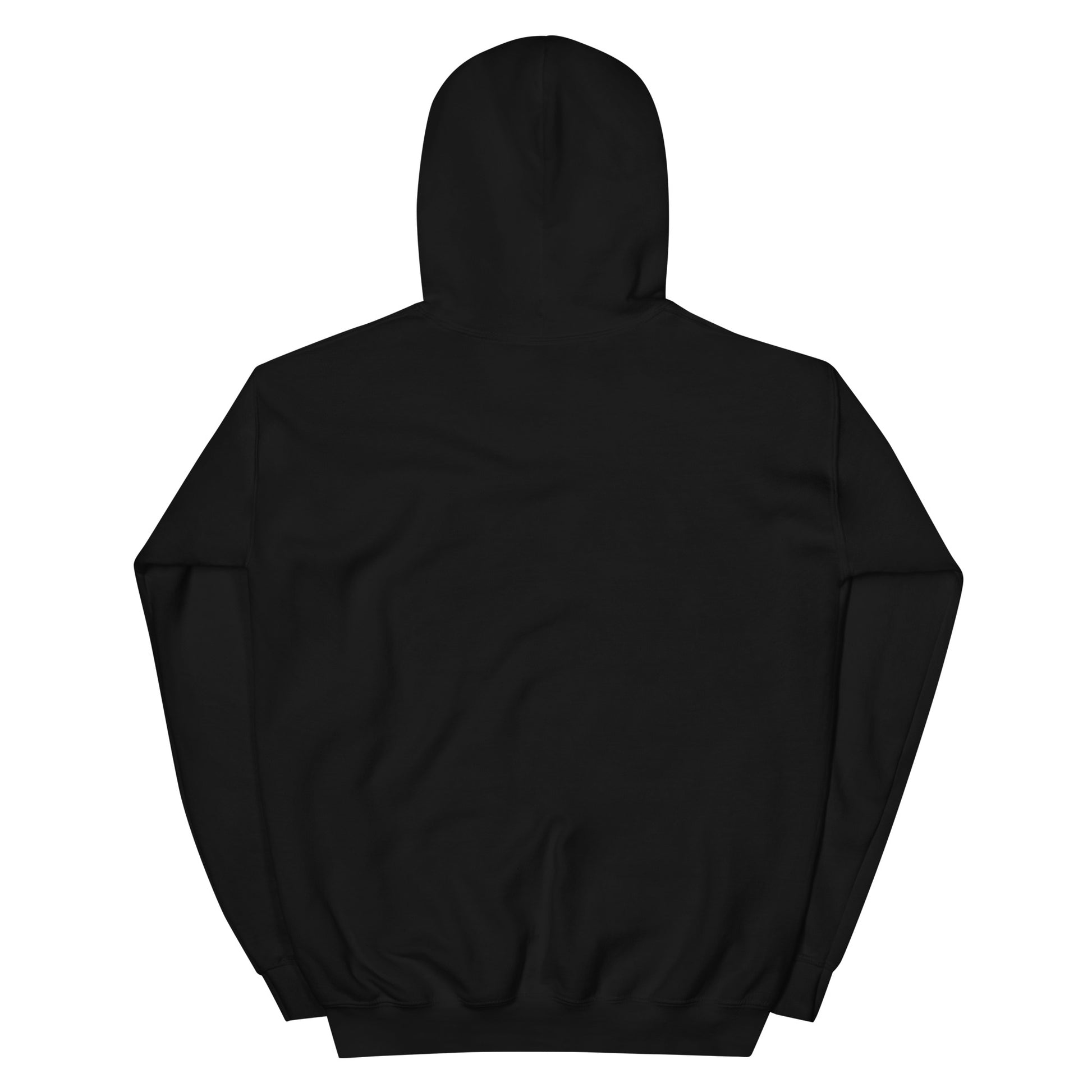 Black hooded sweatshirt, back view